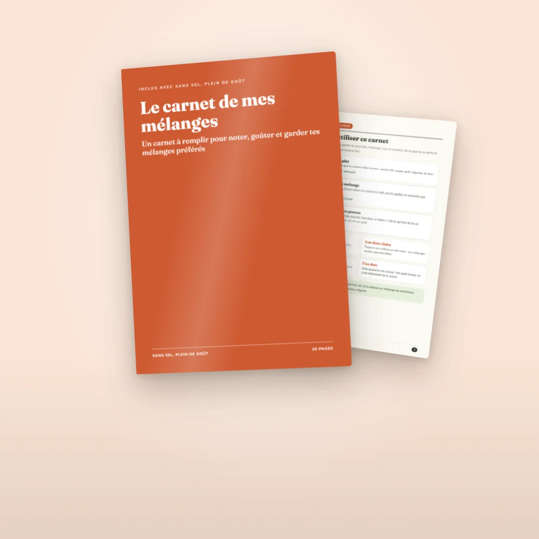 Bonus Le carnet de mes mélanges