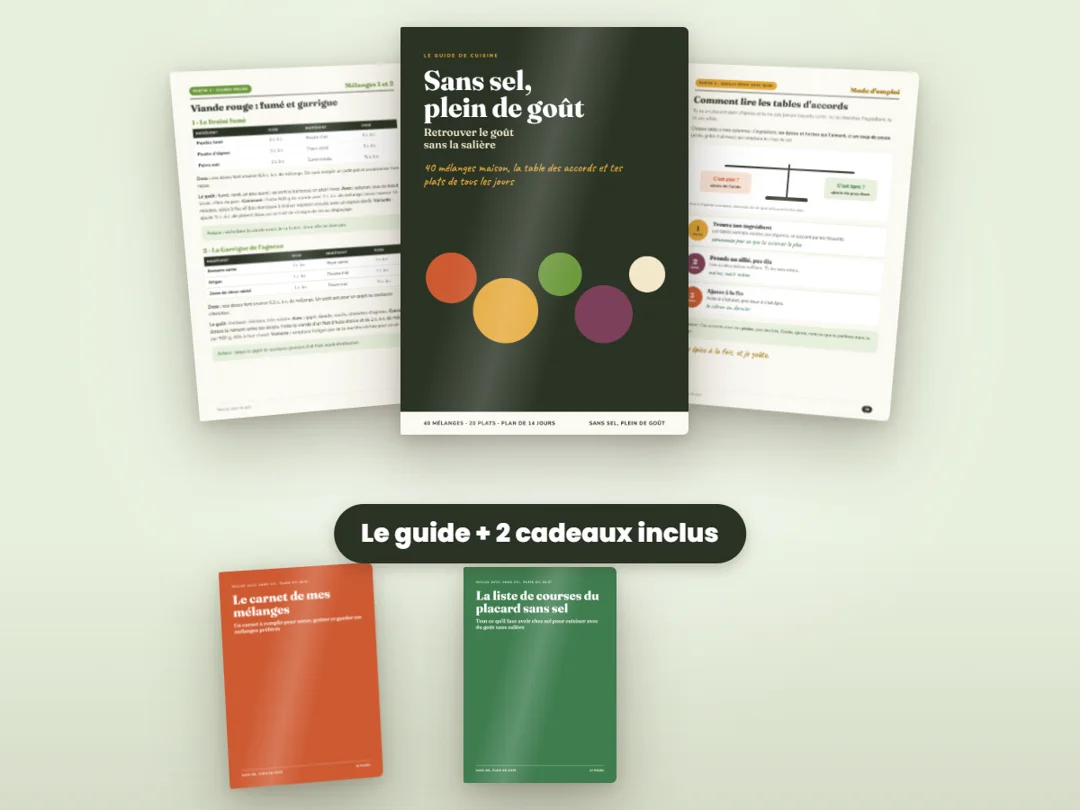 Sans sel, plein de goût : la couverture du guide et les 2 bonus inclus